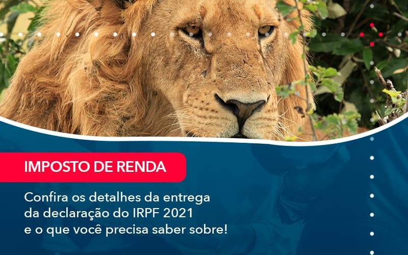 Confira Os Detalhes Da Entrega Da Declaracao Do Irpf 2021 E O Que Voce Precisa Saber Sobre (1) - Quero montar uma empresa